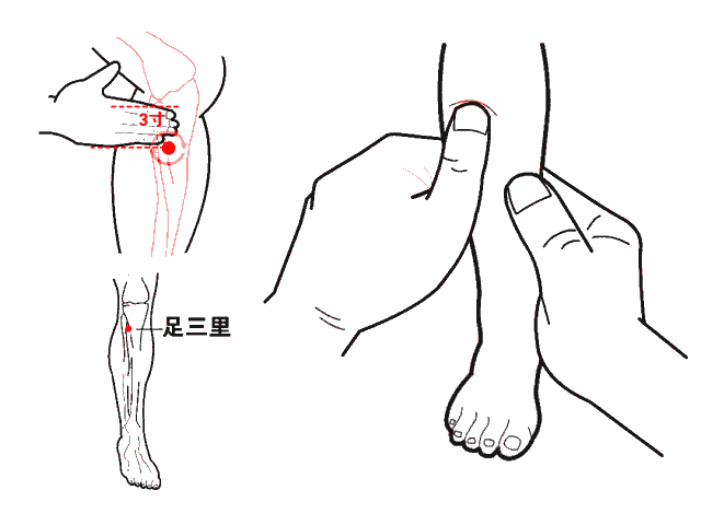 揉足三里.gif